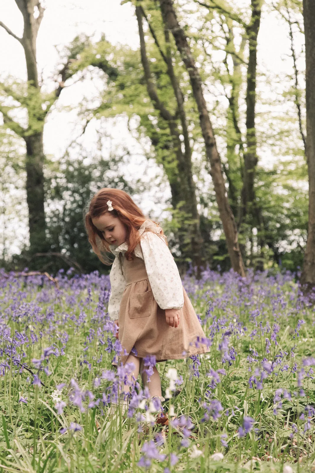 Cream/Beige Floral Frill Collar Blouse